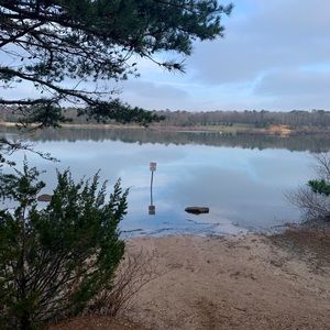 Meet your Posher, Paige